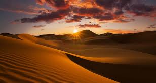 Photographer as Volunteer in Jaisalmer